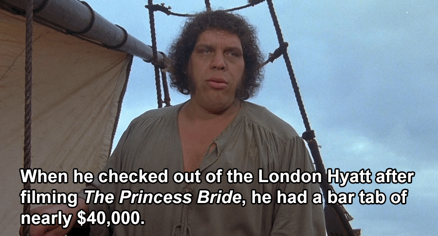 Interesting facts About Andre The Giant