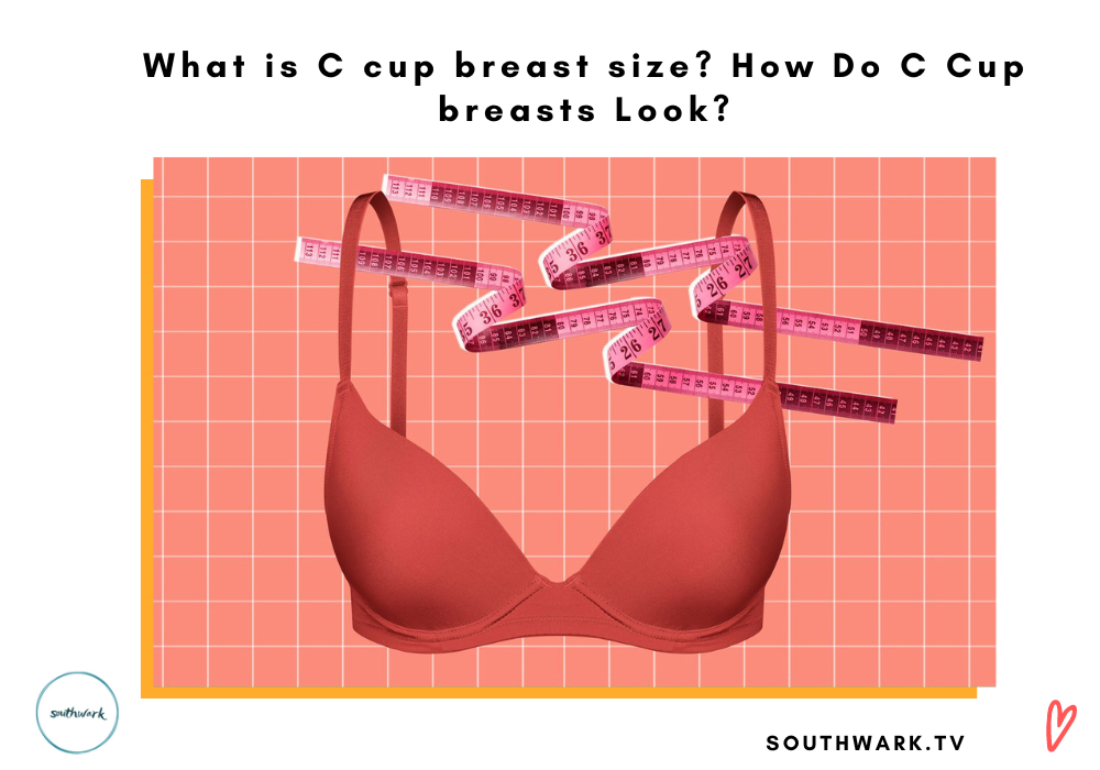 What is C cup breast size? How Do C Cup breasts Look?