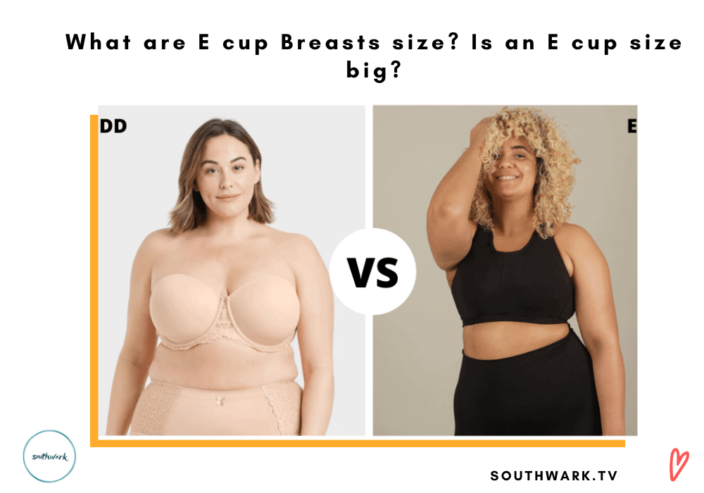 What is C cup breast size? How Do C Cup breasts Look?