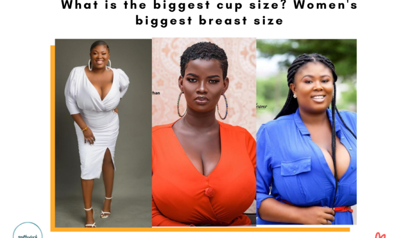 What is the biggest cup size? Women's biggest breast size