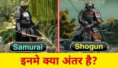 What’S The Difference Between Shogun And Samurai?